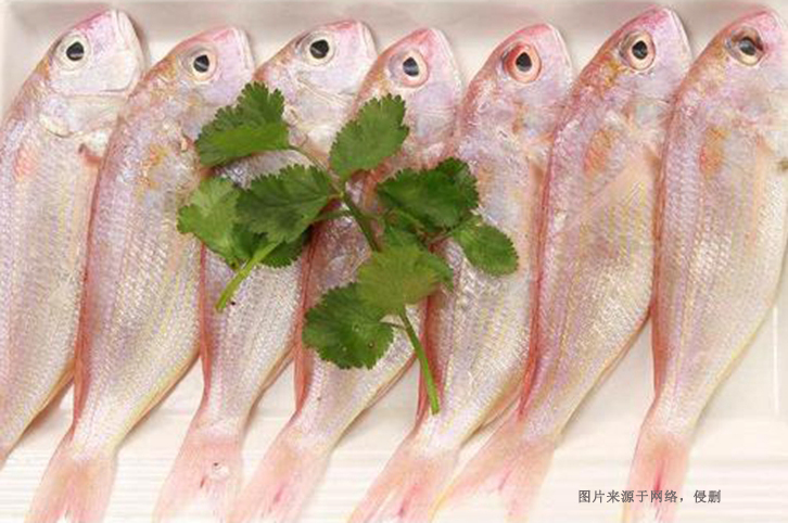 巴基斯坦金線魚進(jìn)口報(bào)關(guān)資料到廣州南沙水產(chǎn)品案例