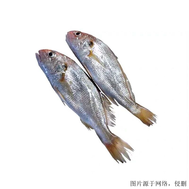 越南白姑魚進(jìn)口清關(guān)流程